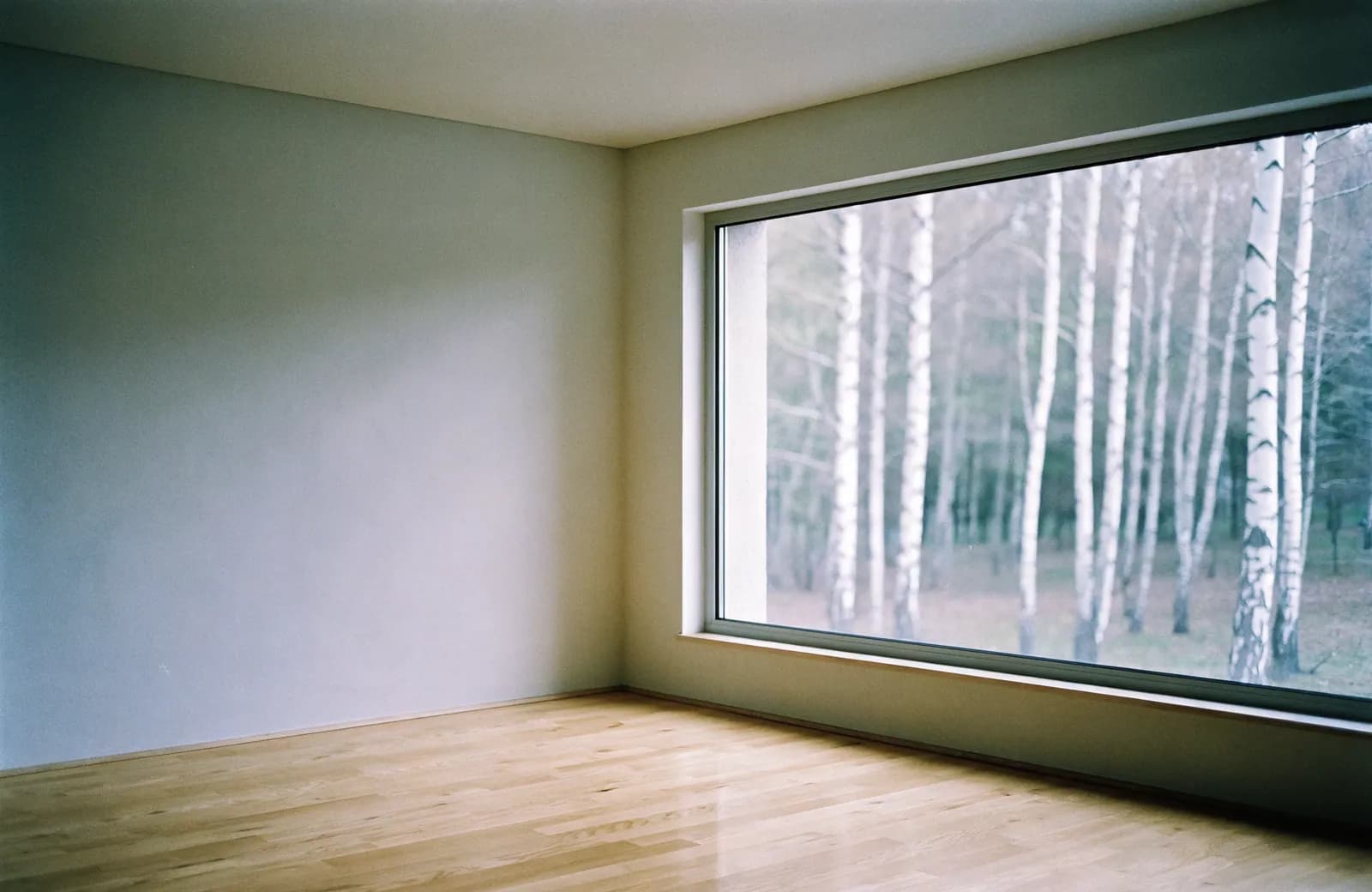 Interior with a large window and timber floor.